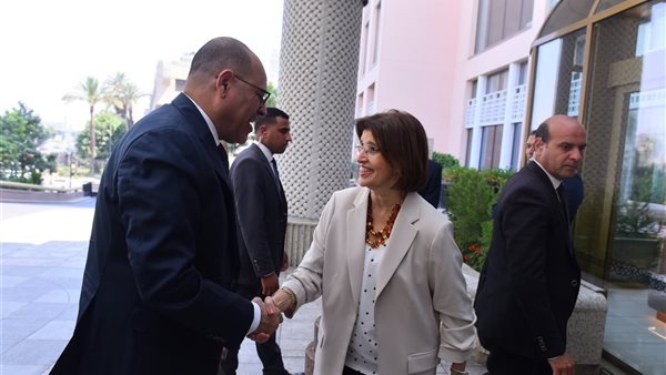 وزير العمل السيد