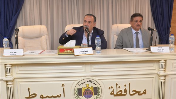 هشام أبو النصر محافظ