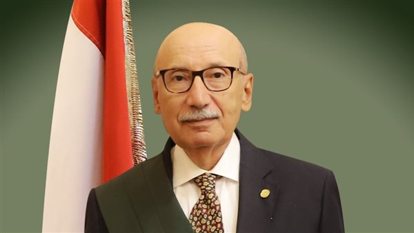 المستشار عاصم عبد