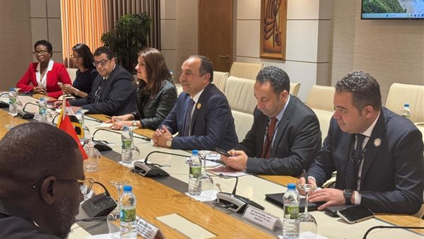 وزير قطاع الأعمال