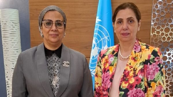  المستشارة أمل عمار