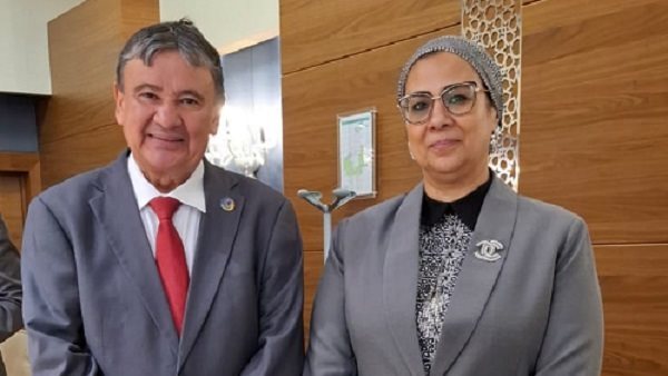  المستشارة أمل عمار