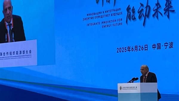 وزير الكهرباء