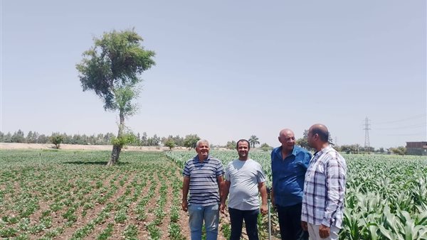 محافظة أسيوط