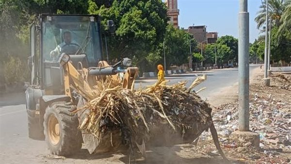 حملات نظافة بأسيوط