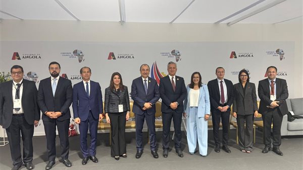 وزير قطاع الأعمال