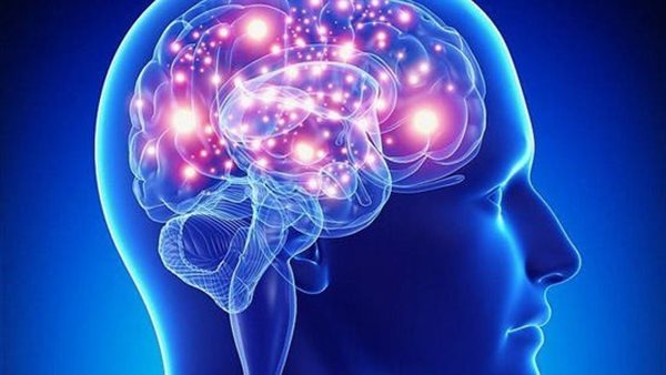 العقل البشري 