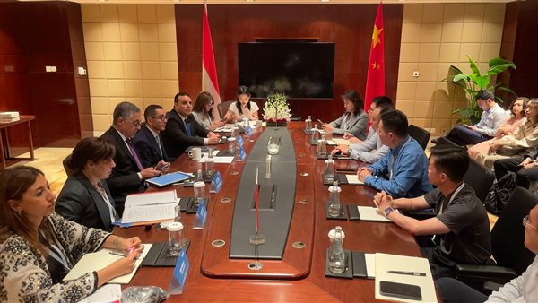 المائدة المستديرة