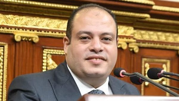 النائب هاني خضر