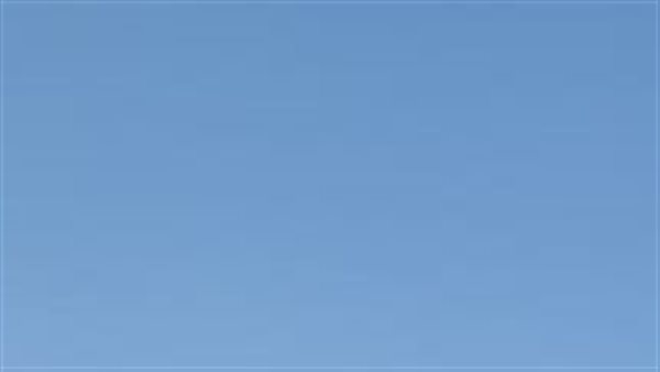 وردة بألوان المصري