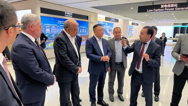 وزير الكهرباء 