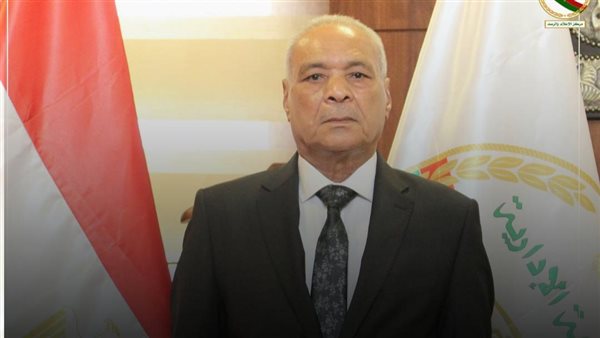 المستشار عبد الراضي