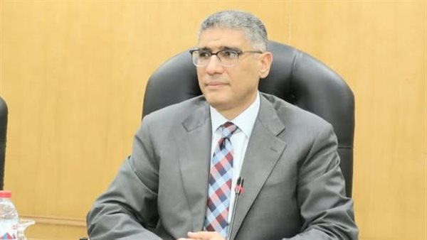 محافظ الجيزة