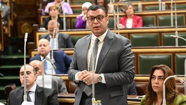 المهندس شريف الشربيني