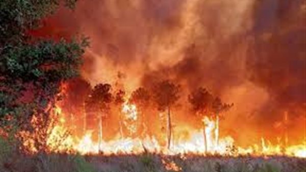 اندلاع حريق