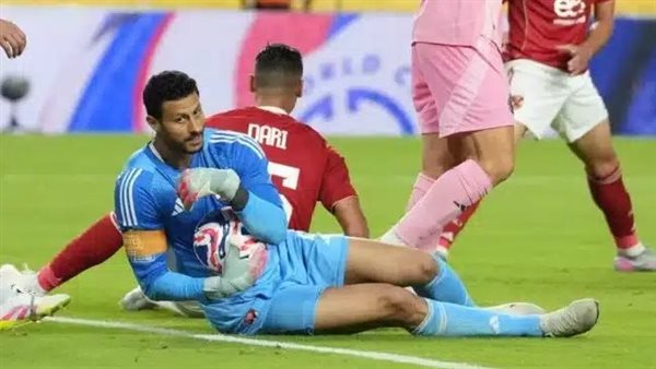 الشناوى ودارى