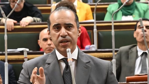 المستشار محمود فوزي