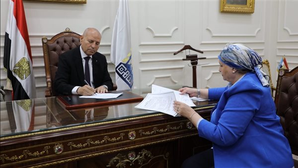 محافظ القاهرة