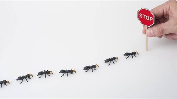 التخلص من النمل 