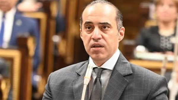 المستشار محمود فوزي