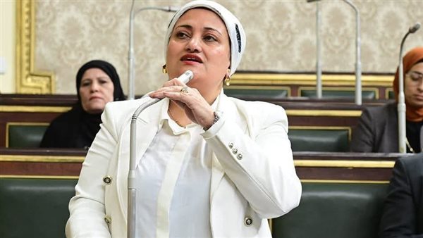 النائبة سناء سعيد