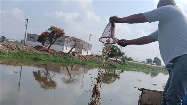 اصبعيات السمك 