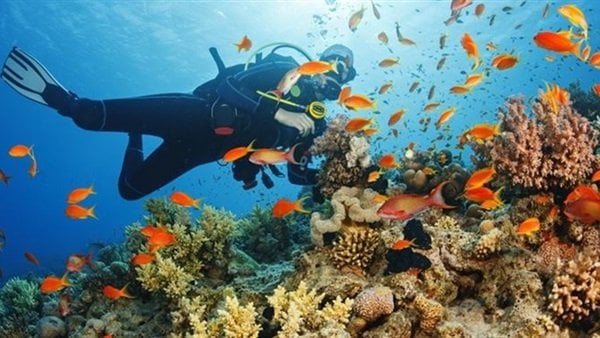 أجمل شواطئ البحر