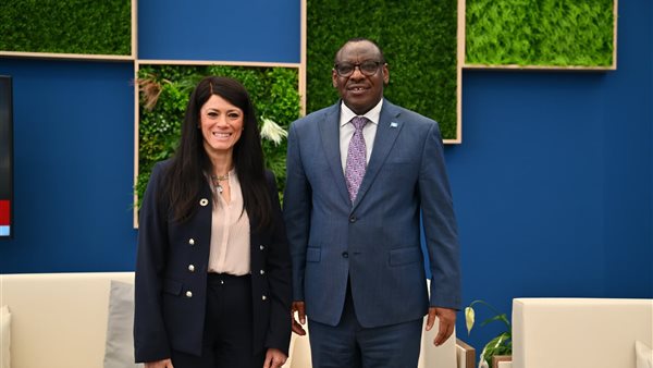 وزيرة التخطيط