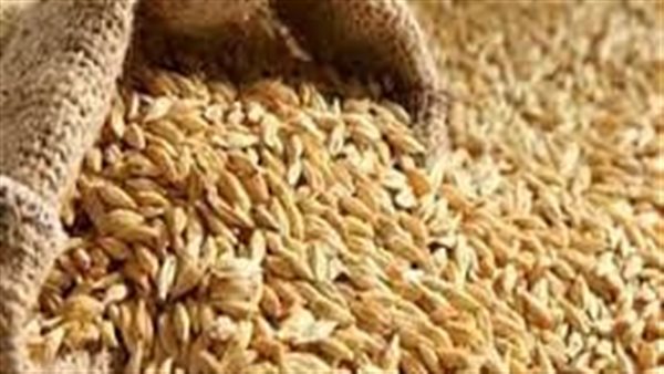  أسعار الأرز في الأسواق