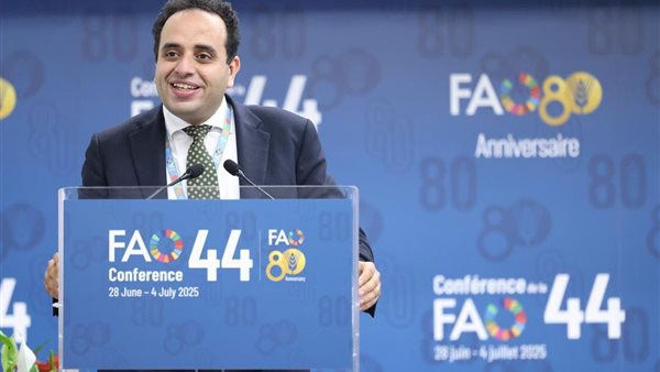 الدبلوماسي المصري