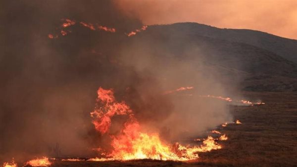  حرائق إزمير