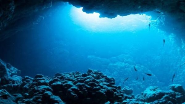 أصوات غريبة تحت البحر