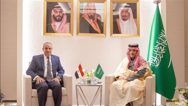 وزيرا خارجية مصر