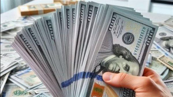 استقرار سعر الدولار