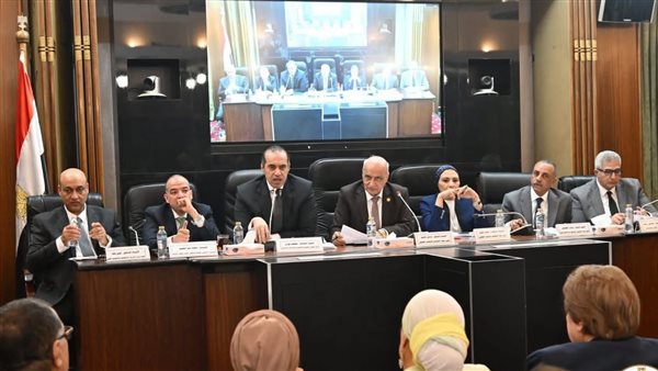 وزير الشؤون النيابية