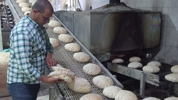 جانب من الحمله 