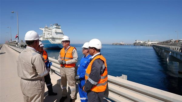 وزير البترول والثروة