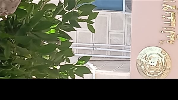 محكمه شمال دمنهور