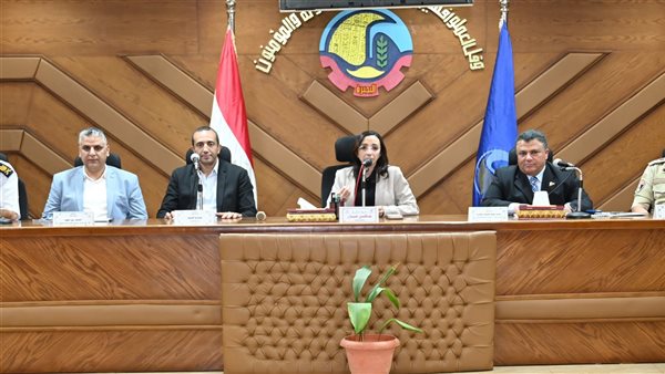 محافظه البحيره 