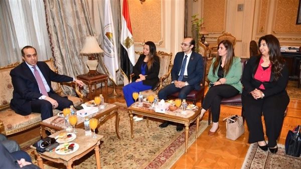 المستشار محمود فوزي