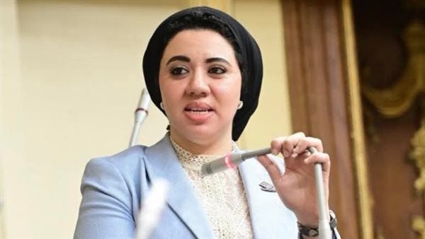 النائبة أميرة صابر