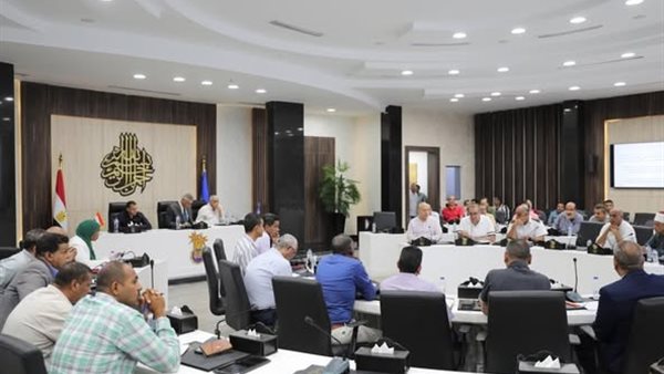 محافظ أسوان