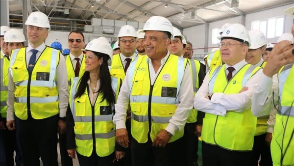 الضبعة النووية