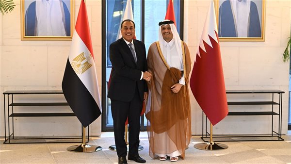 مدبولي ورئيس وزراء