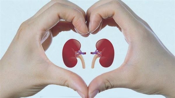 نصائح هامة للحفاظ