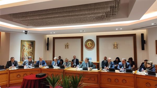 نائب وزير الخارجية