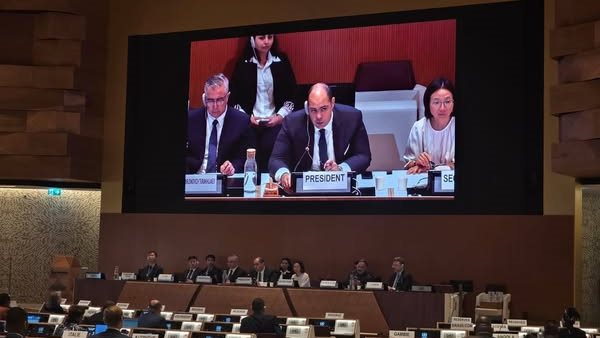 منظمة الأمم المتحدة