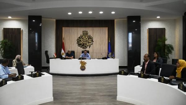 محافظ أسوان