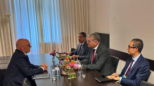 المهندس كريم بدوي