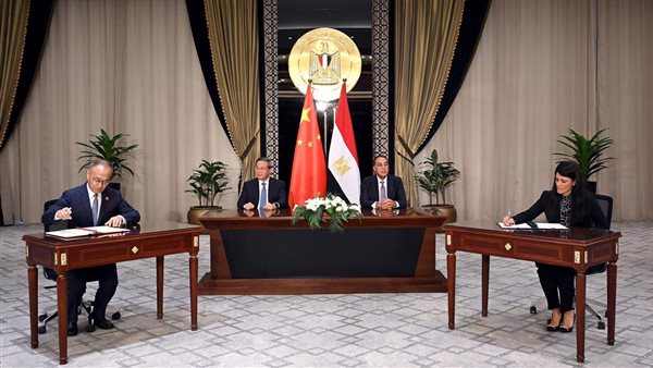 وزيرة التخطيط والتنمية